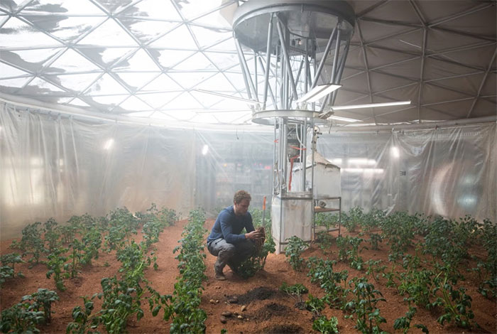 Matt Damon trồng khoai tây trong bộ phim The Martian.