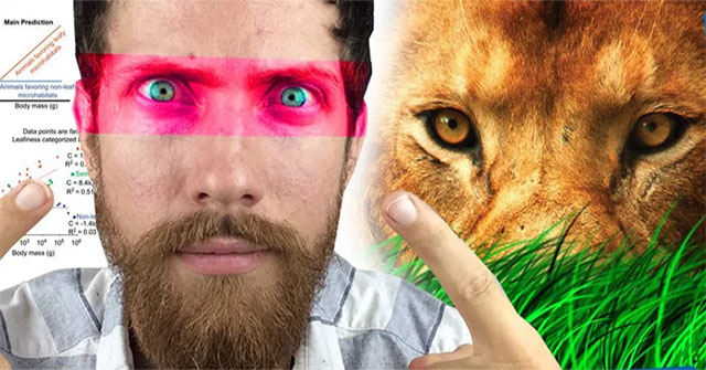 Vì sao con người lại sở hữu đôi mắt của những kẻ săn mồi hàng đầu?