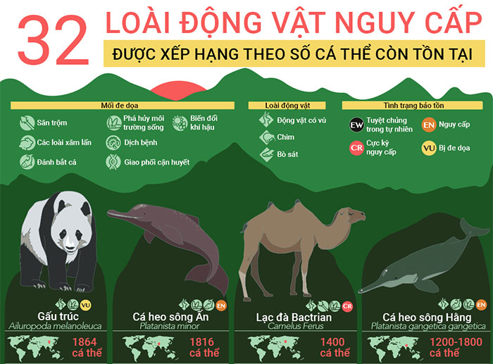 32 loài động vật sắp tuyệt chủng, 9 trong số đó chỉ còn dưới 100 cá thể